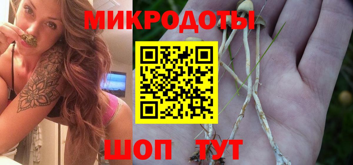Псилоцибиновые грибы GOLDEN TEACHER  Псилоцибиновые грибы мухоморы  Вход с VPN  Подольск 